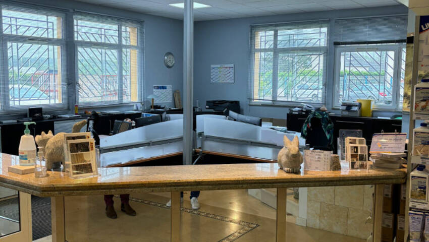 Publique 55697235 nr 4 - Attribut alt par défaut.