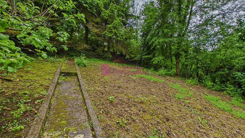 60480784c - Attribut alt par défaut.
