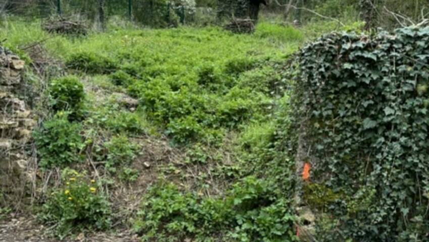 773169139 57 25853 1 - Attribut alt par défaut.