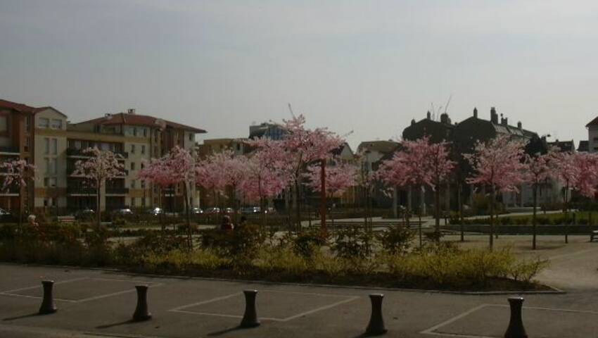 4255740f - Attribut alt par défaut.