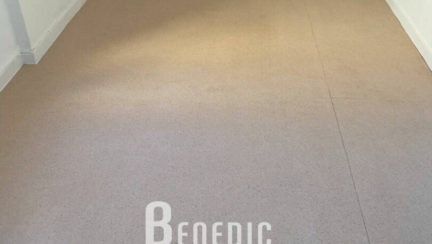 4255470e - Attribut alt par défaut.