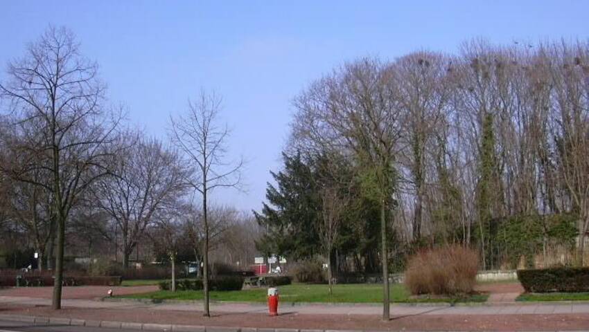 4254208g - Attribut alt par défaut.