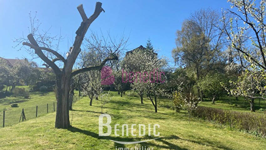 45832685e - Attribut alt par défaut.