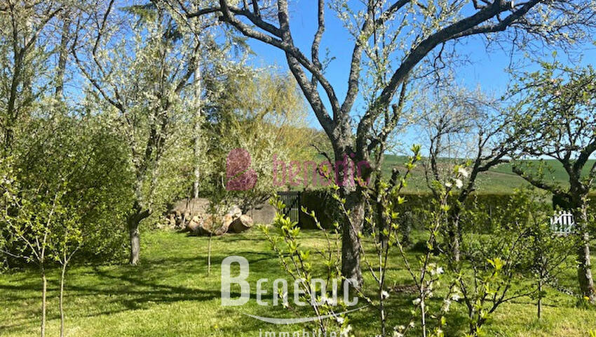 45832685f - Attribut alt par défaut.