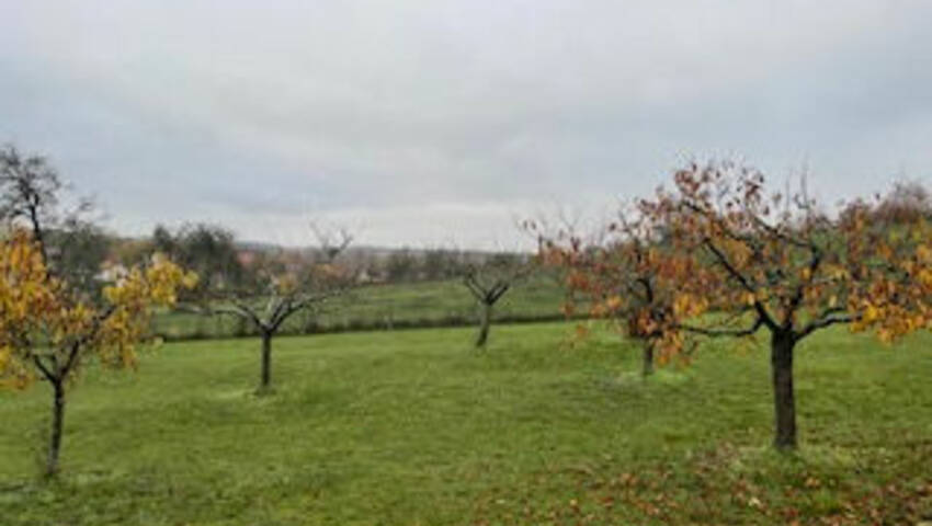 51330861a - Attribut alt par défaut.