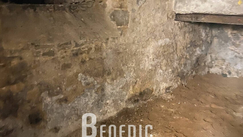 51661218r - Attribut alt par défaut.