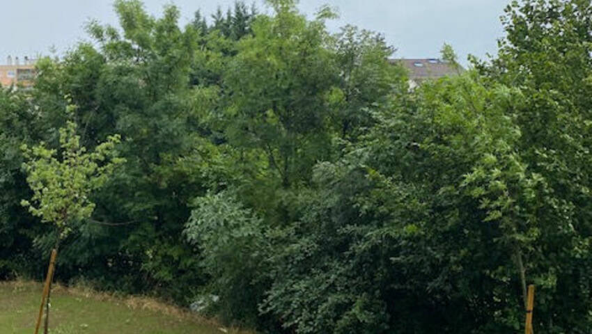 53592049j - Attribut alt par défaut.