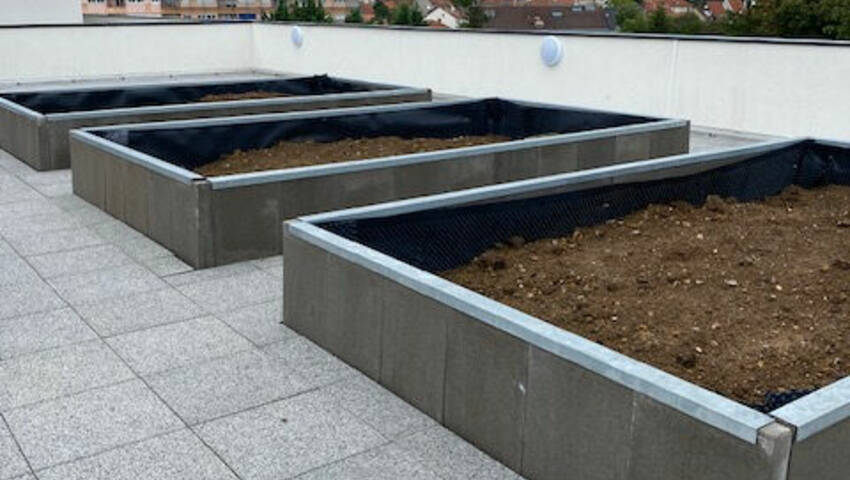 53592049n - Attribut alt par défaut.