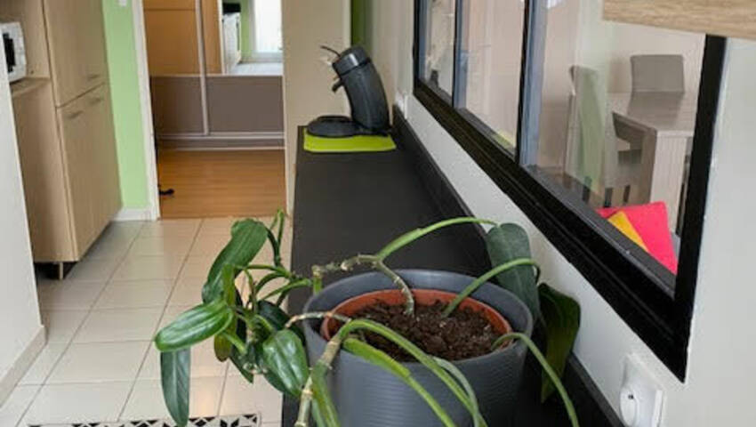 54996937g - Attribut alt par défaut.