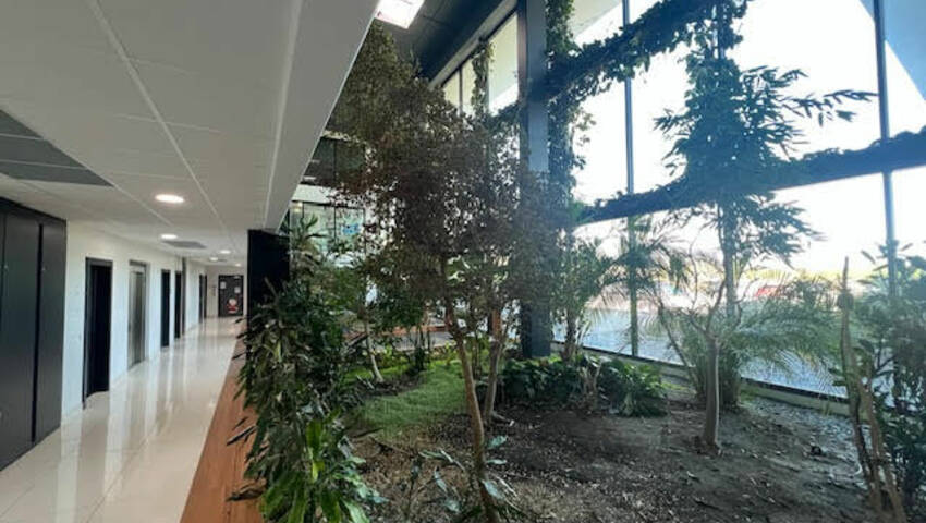 55695339d - Attribut alt par défaut.