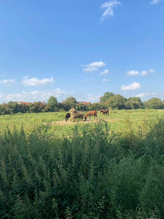 57070647d - Attribut alt par défaut.