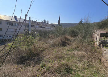 58123784a - Attribut alt par défaut.
