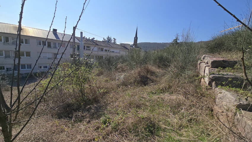 58123784a - Attribut alt par défaut.