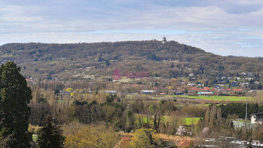 58075417f - Attribut alt par défaut.