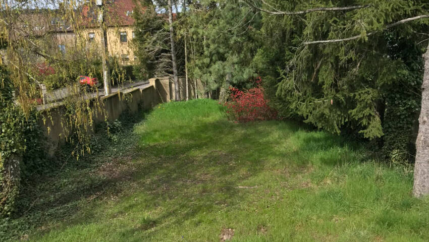 58462323c - Attribut alt par défaut.