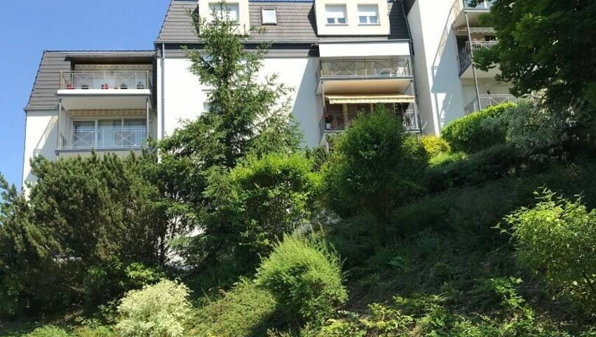 58851651b - Attribut alt par défaut.