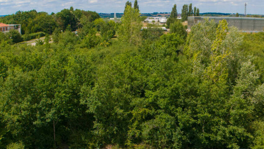 58864324j - Attribut alt par défaut.