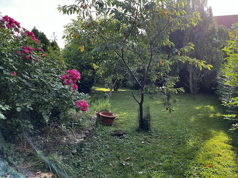 58187439d - Attribut alt par défaut.