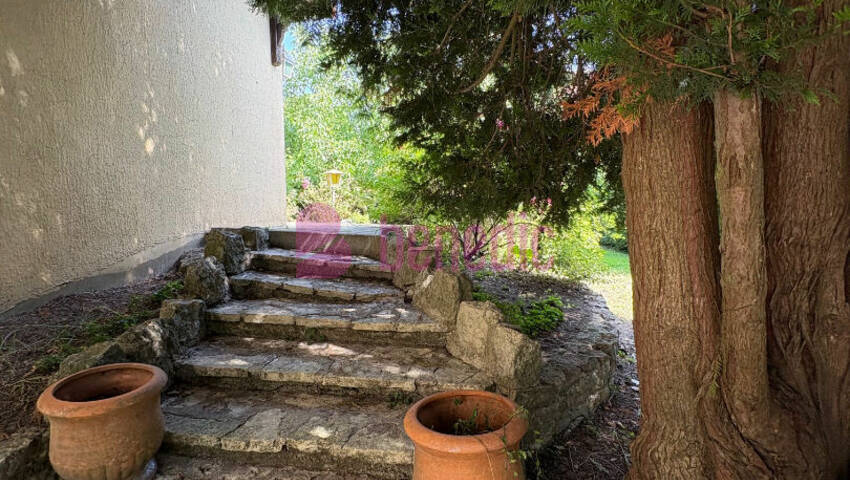 58187439m - Attribut alt par défaut.