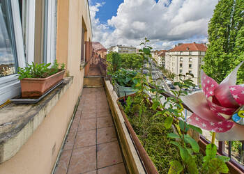 58868065a - Attribut alt par défaut.