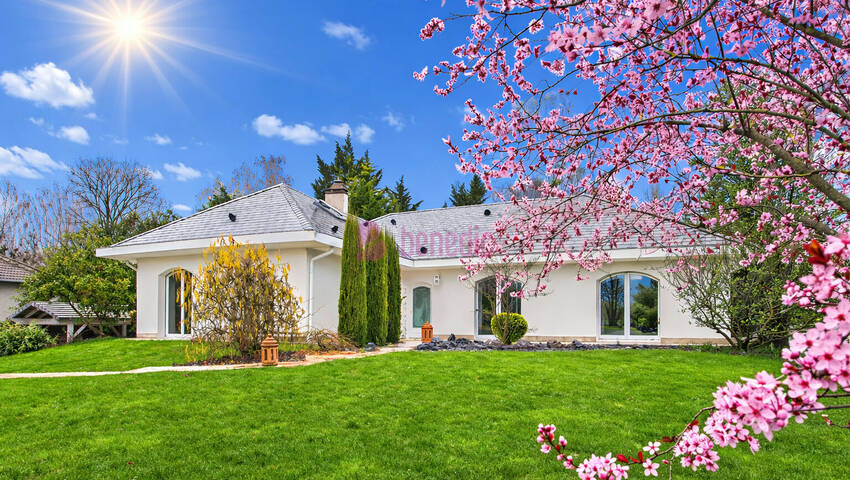 59284912a - Attribut alt par défaut.