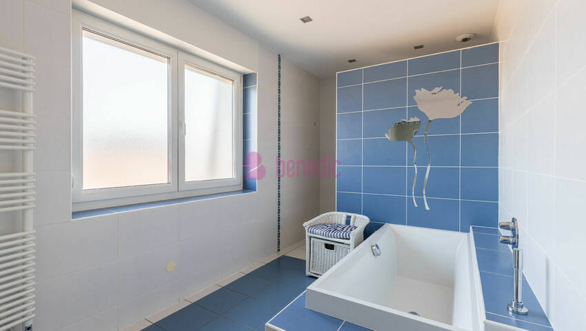 58445508p - Attribut alt par défaut.