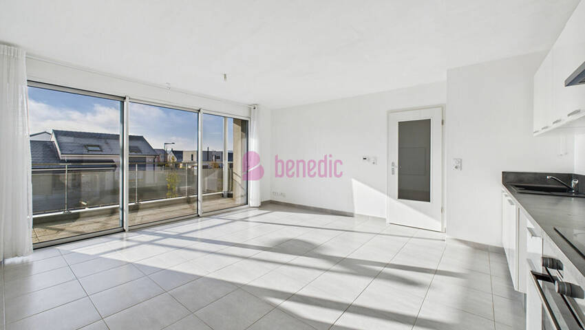 59528485f - Attribut alt par défaut.