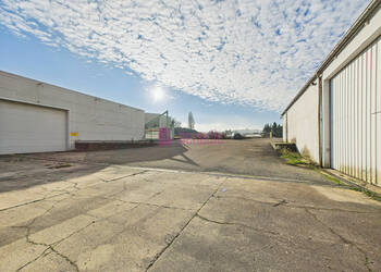 59607739b - Attribut alt par défaut.