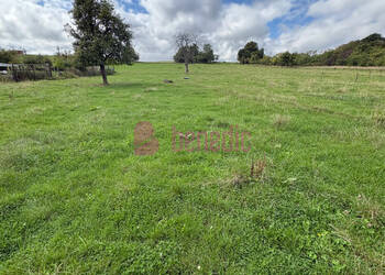 59469509a - Attribut alt par défaut.