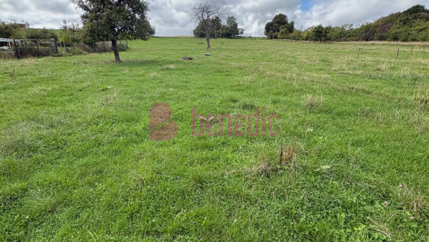 59469509a - Attribut alt par défaut.