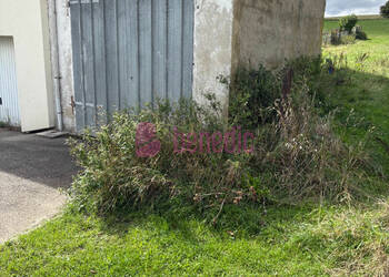 59469509c - Attribut alt par défaut.