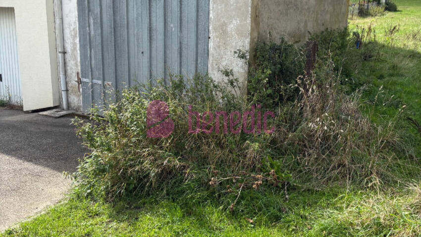 59469509c - Attribut alt par défaut.