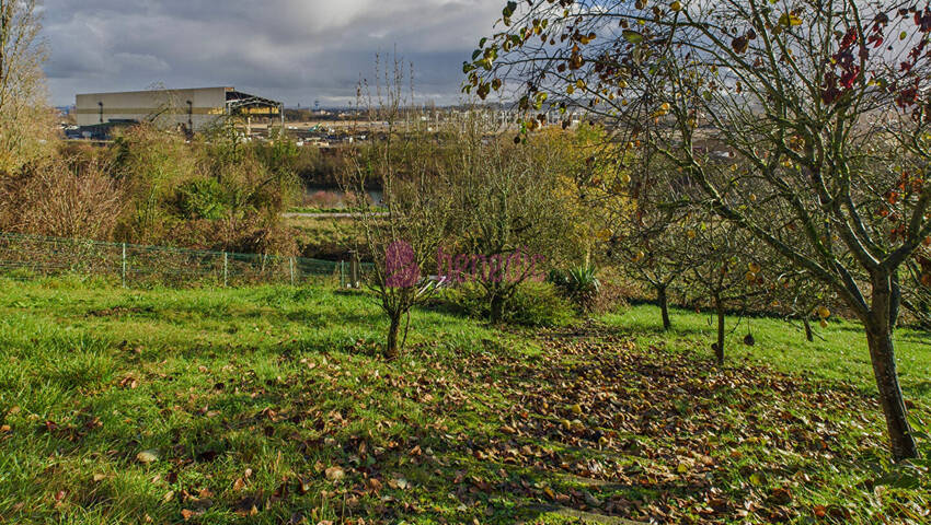 59501105d - Attribut alt par défaut.