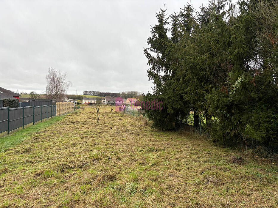 59668392j - Attribut alt par défaut.