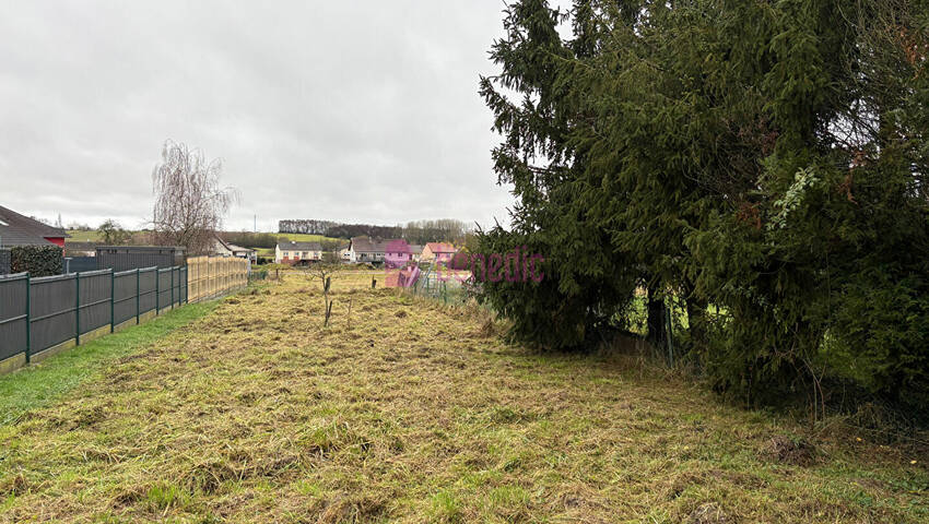 59668392j - Attribut alt par défaut.