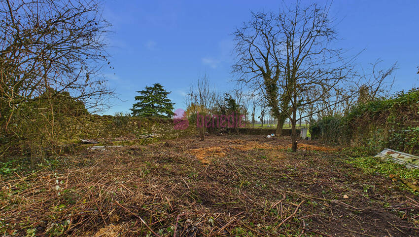 59789045a - Attribut alt par défaut.