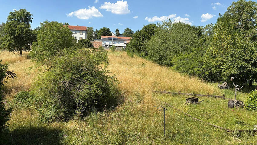 59986156d - Attribut alt par défaut.