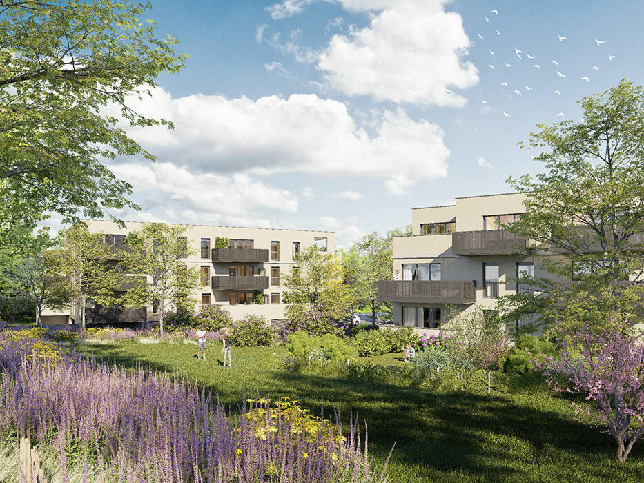 59142381c - Attribut alt par défaut.