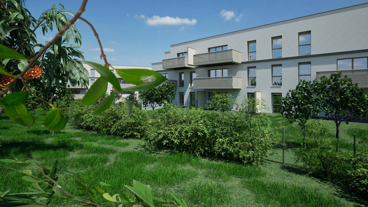 59142381d - Attribut alt par défaut.