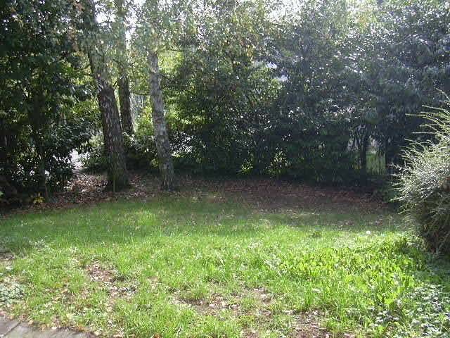 4253631e - Attribut alt par défaut.