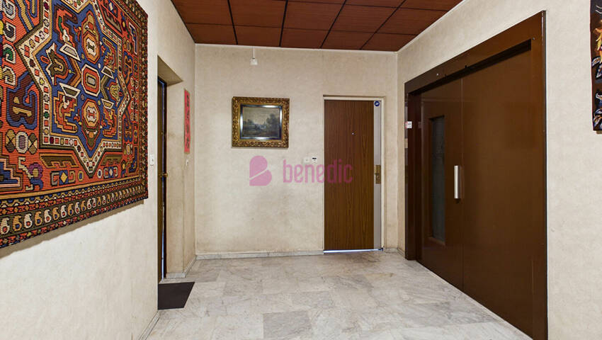 59952854u - Attribut alt par défaut.