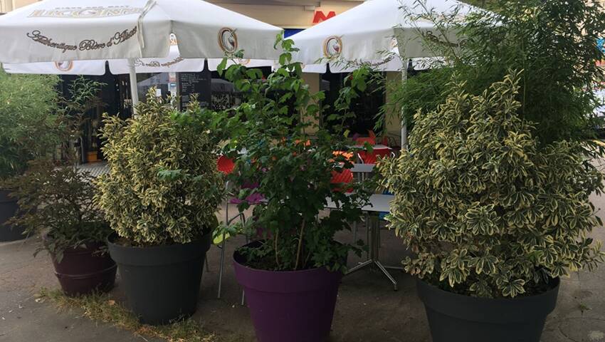 Publique 56254013 nr 11 - Attribut alt par défaut.