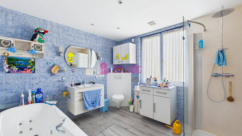 60162270n - Attribut alt par défaut.