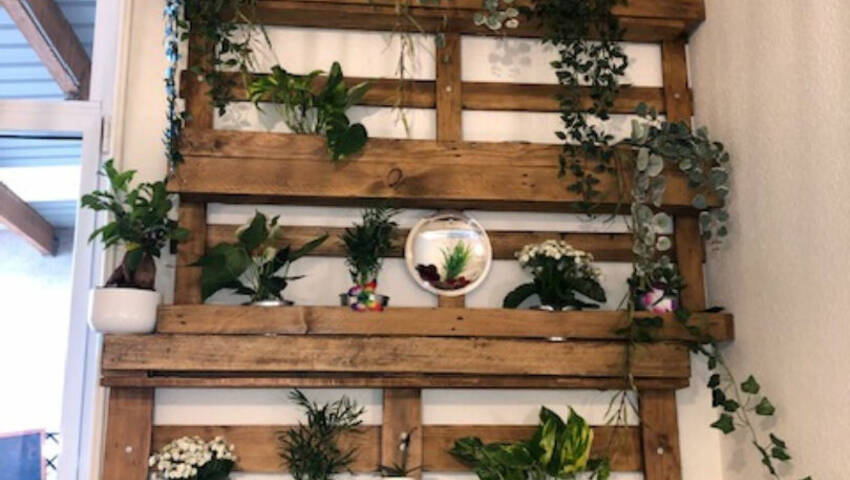 Publique 59355751 nr 3 - Attribut alt par défaut.