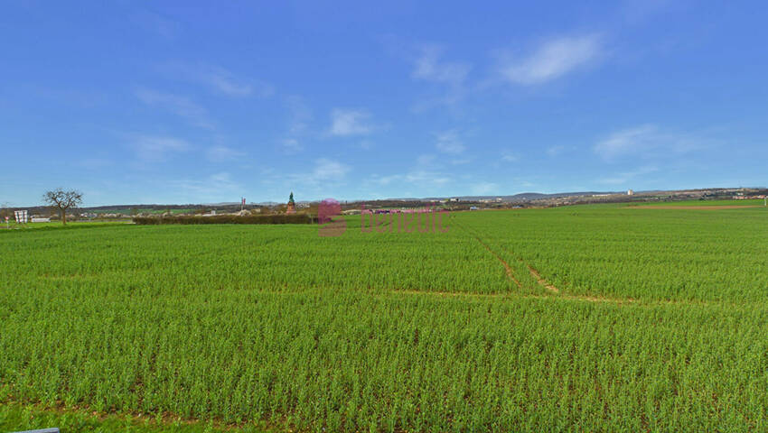 60219573l - Attribut alt par défaut.