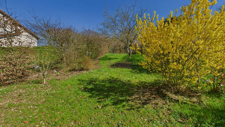 59238115p - Attribut alt par défaut.