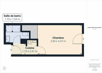 60197069c - Attribut alt par défaut.