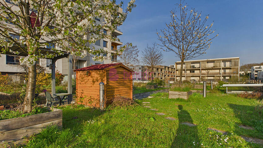 59534922o - Attribut alt par défaut.