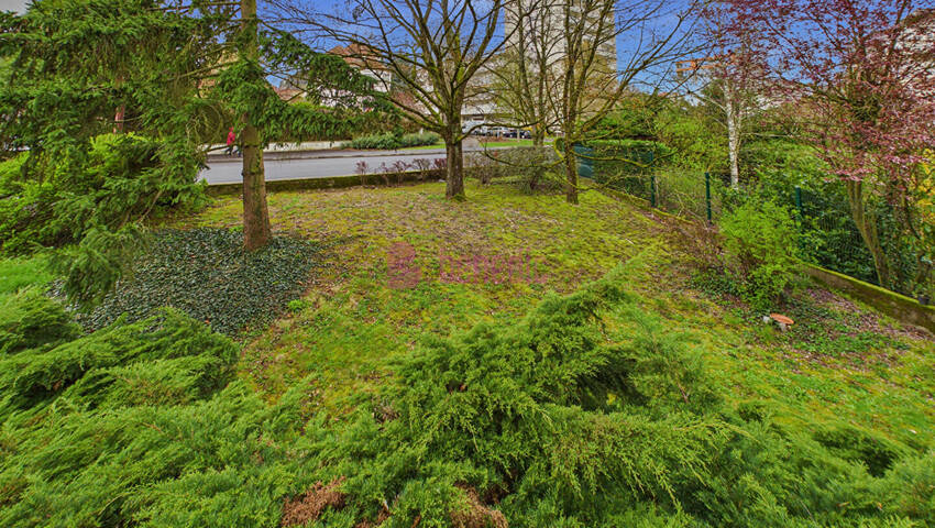 60193075g - Attribut alt par défaut.