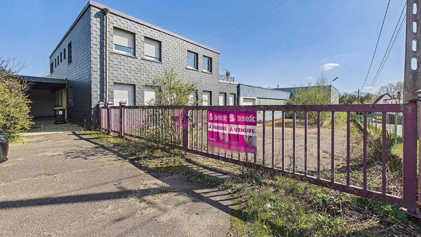 56905836a - Attribut alt par défaut.